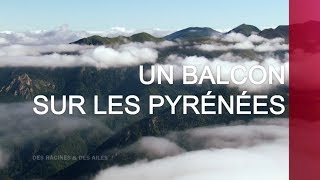 Un balcon sur les Pyrénées