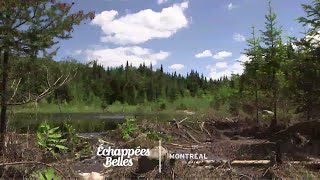 Documentaire Échappées belles – Un été à Montréal
