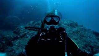 Une plongée à Cocos, l'île aux requins