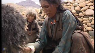Dolpo, les enfants de la montagne