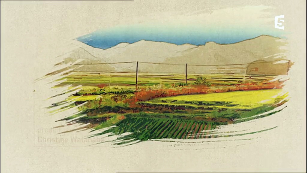 Fukushima, des particules et des hommes