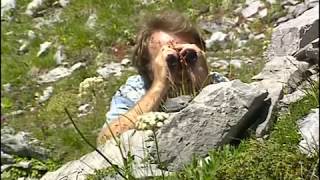 Documentaire La faune et la flore en montagne