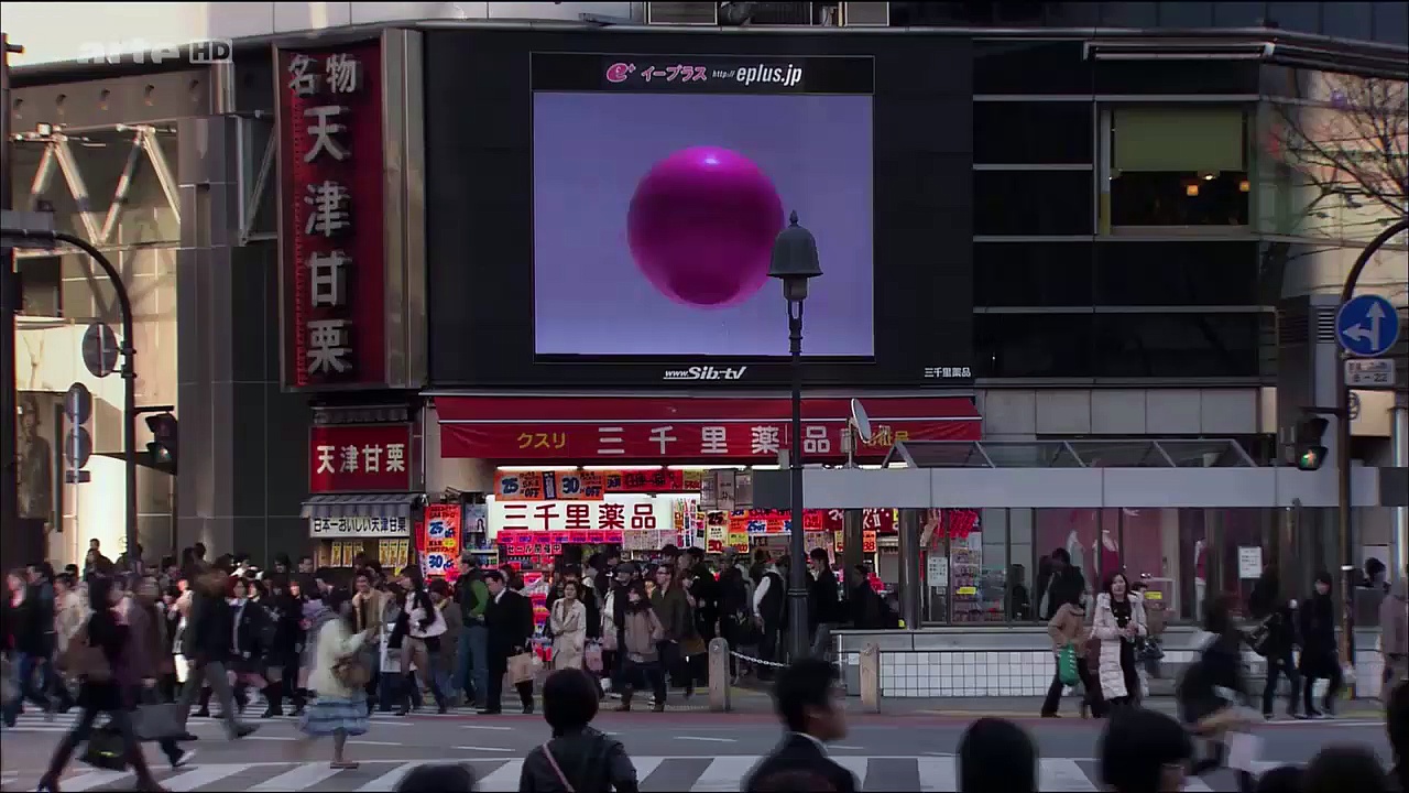 Le Japon sauvage (1/2)