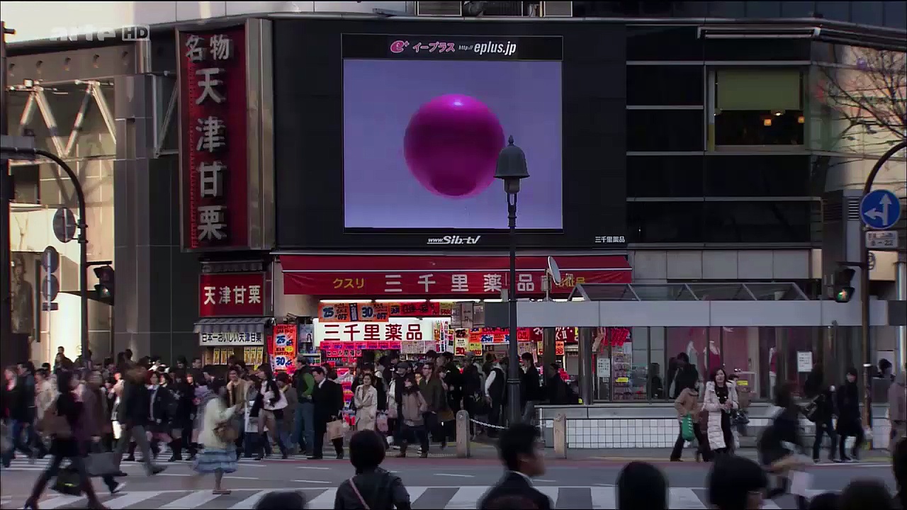 Documentaire Le Japon sauvage (1/2)