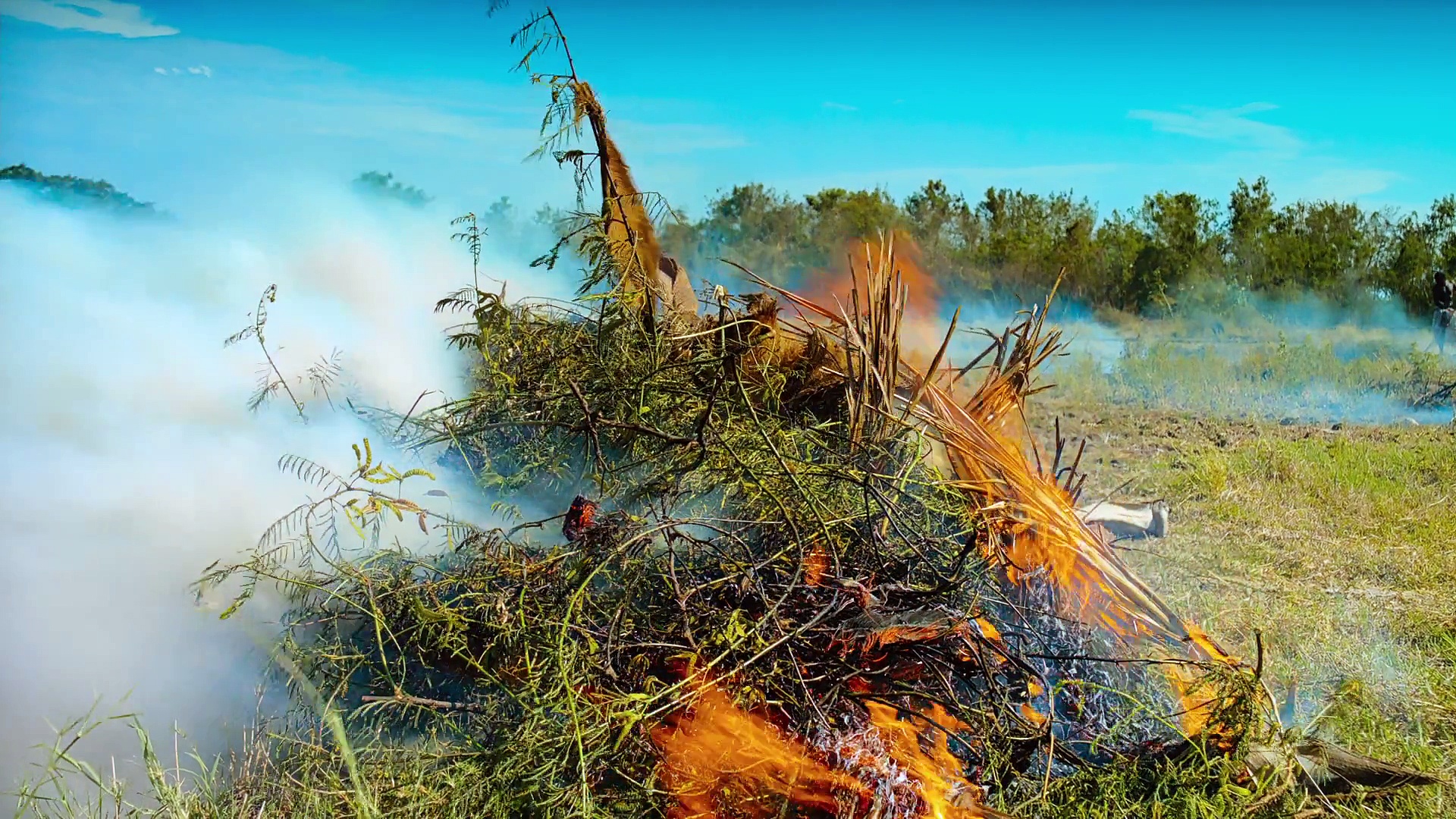 Documentaire Madagascar, l’île des lémuriens