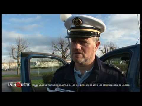 Magouilles et danger sanitaire, les gendarmes contre les braconniers de la mer