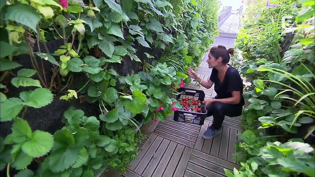 Toits de Paris, des jardins extraordinaires
