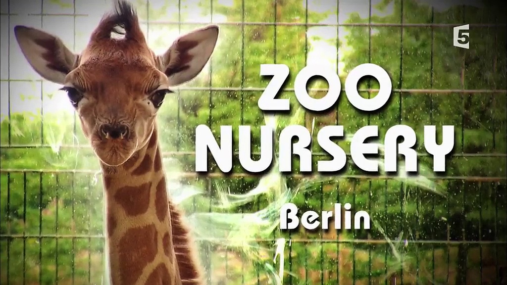 Documentaire Zoo nursery : Berlin
