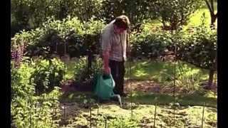 Documentaire Mon potager : la garantie de produits frais