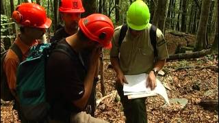 Documentaire La gestion durable des forêts de montagne