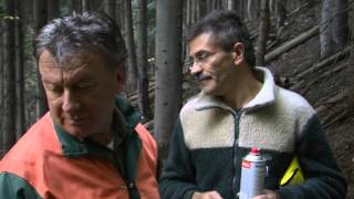 Documentaire Les forêts alpines au service des populations de montagne