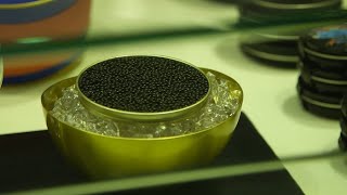 Documentaire Foie gras, caviar : un réveillon à petits prix sur internet ?