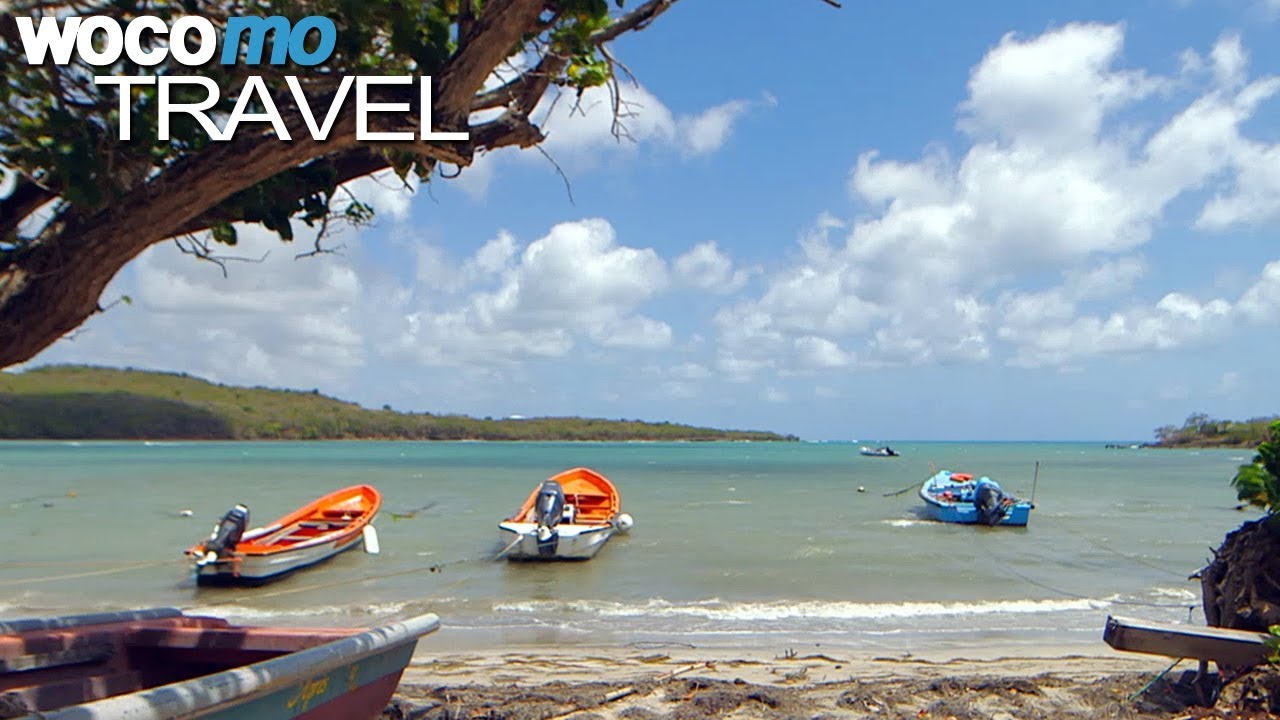 Documentaire La Martinique – À la découverte de la Mecque de la plongée