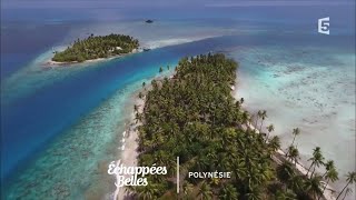 Échappées belles – Polynésie, un goût de paradis