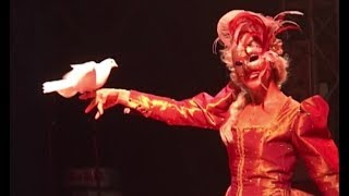 Cirque : les marathoniens du rêve