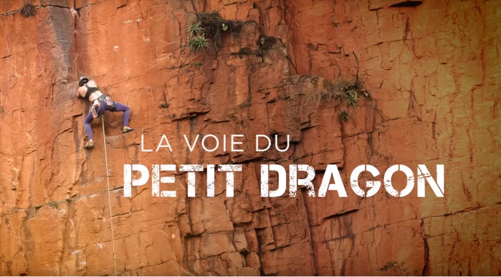 La voie du petit dragon
