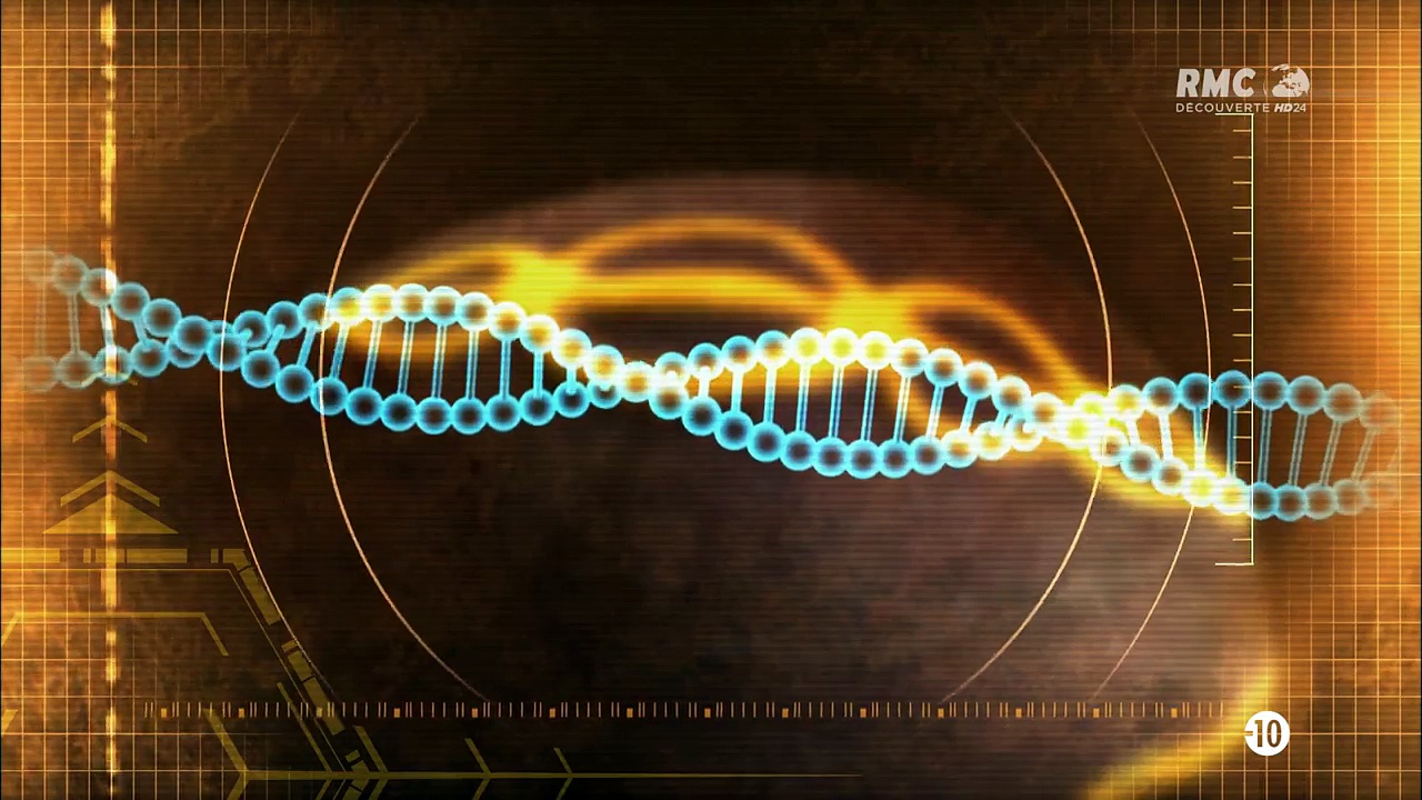 Sur la trace des aliens - Le code extraterrestre