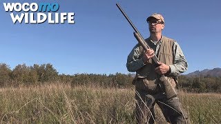Documentaire La chasse aux États-Unis – À la découverte de l’Alaska