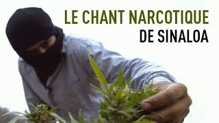 Documentaire Le chant narcotique de Sinaloa