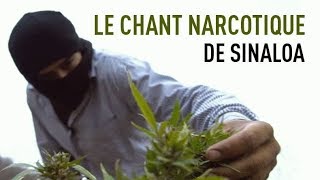 Le chant narcotique de Sinaloa