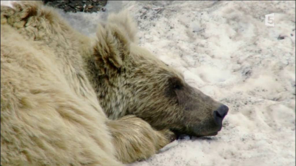 Documentaire Les montagnes célestes