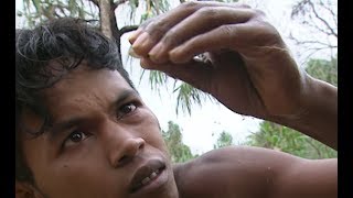 Madagascar : les mines de saphirs