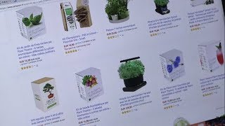 Comment Amazon a conquis la France ?