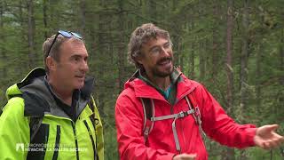Ma montagne à moi