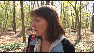Disparition : une maman à la recherche de son fils !