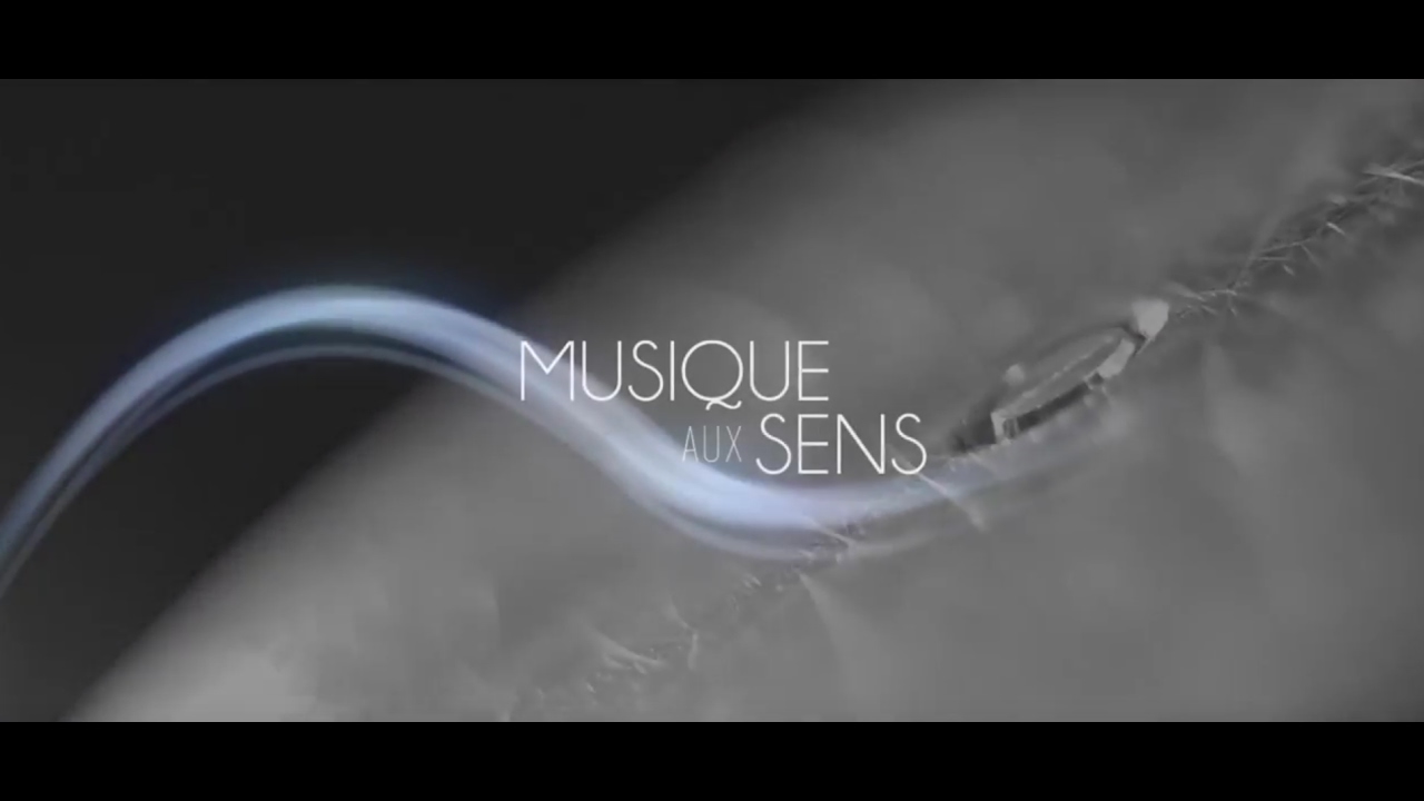 Documentaire Musique aux sens