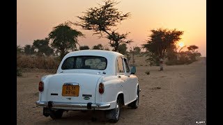 Inde: magnifique roadtrid en Ambassador