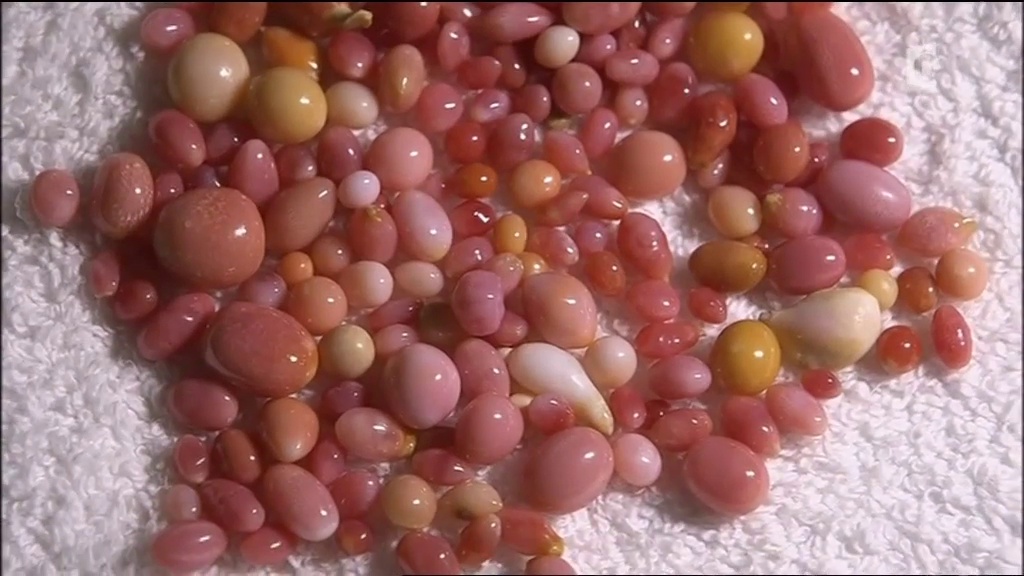 Le secret des perles roses