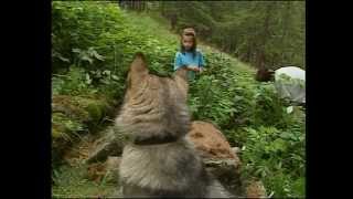 Les animaux de la montagne