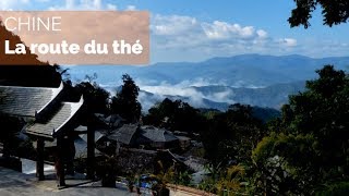 Documentaire Chine, sur la route du thé