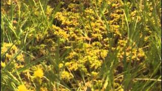 Bretagne randonnées - Guide au coeur des chemins