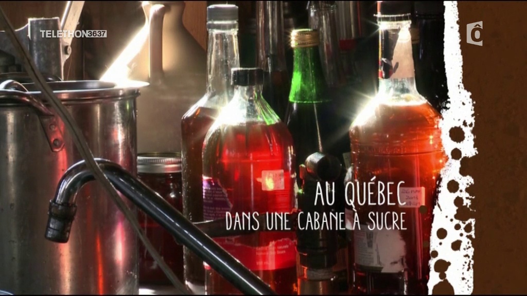 Destination wwoofing – Québec : dans une cabane à sucre