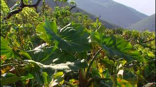 Documentaire Guadeloupe : 3 randonnées