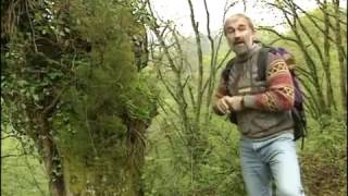 Documentaire Les Pyrénées : 4 randonnées