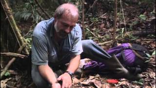 Documentaire Guyane : 3 randonnées