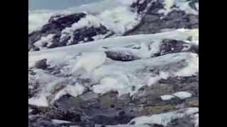 Les horizons gagnés - Gaston Rébuffat, les plus grandes ascensions
