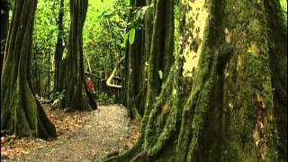 Documentaire Polynésie : 3 randonnées
