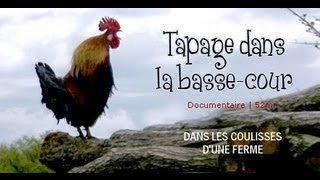 Documentaire Tapage dans la basse-cour : aventure à la ferme