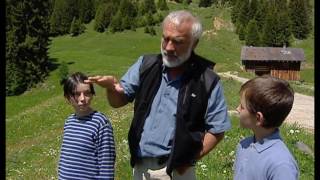 Grandeur Nature - Biodiversité des prairies