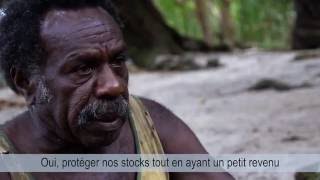 Documentaire Aires marines taboues du Vanuatu