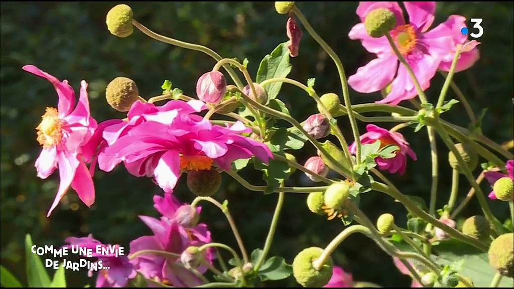 Le jardin des cinq sens, à Yvoire