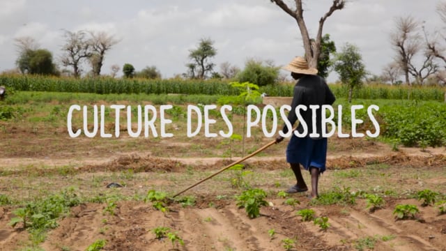 Documentaire Culture des possibles