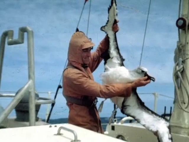 Documentaire Loïck Fougeron – Mémoires du cap Horn