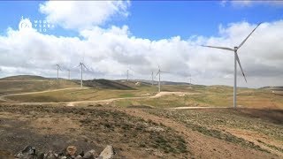 Documentaire Le métier de lamaneur