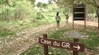 GR (5/5)