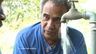 À l'ombre des caféiers